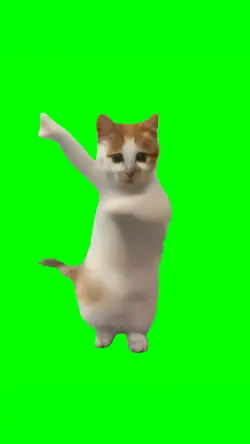 Kucing Joget