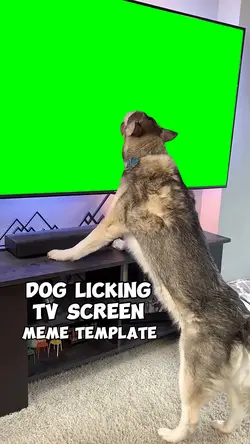 Dog Licking TV meme