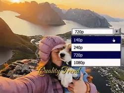 Quality Trend