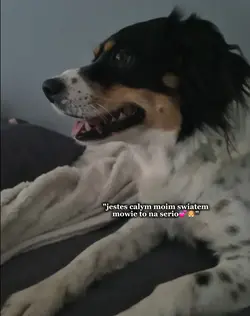 moj slodziak