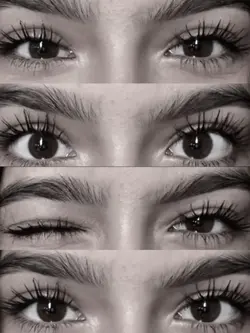 eyes 