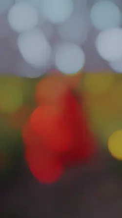 slowmo India song
