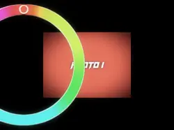 Color Wheel Trend