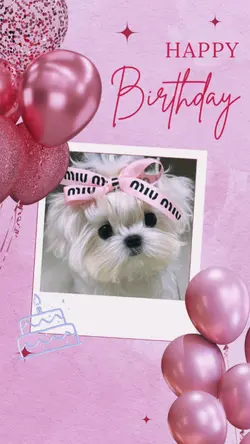 pet birthday