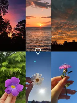 6 pics