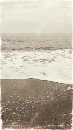 빈티지 화면전환