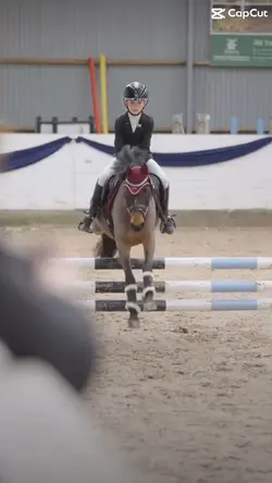 cute horse ❤️