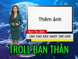 Mẫu Troll Hài Hước