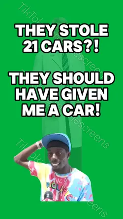 THEY STOLE 21 CARS?!