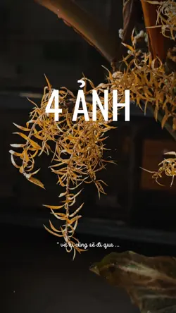 AI CŨNG PHẢI ĐI QUA