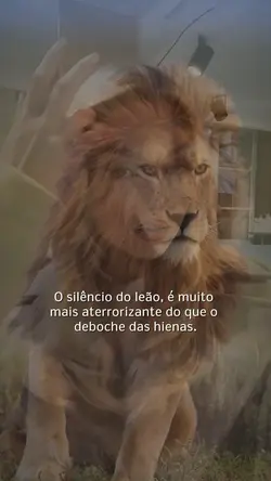 leão em silêncio 