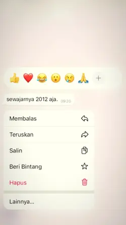 sewajarnya 2012