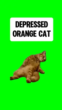 DEPRESSED CAT