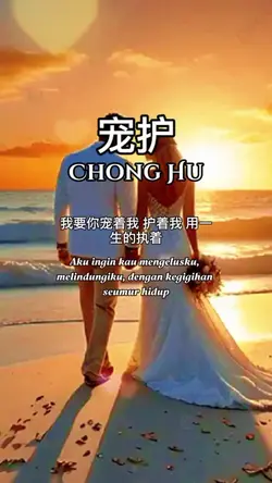宠护