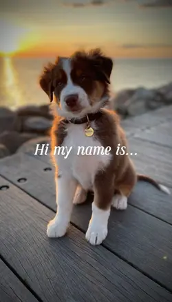 Name is 