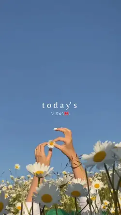 today's story 