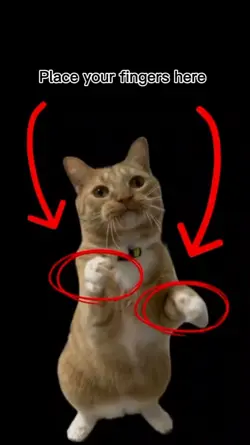 Place your fingers 