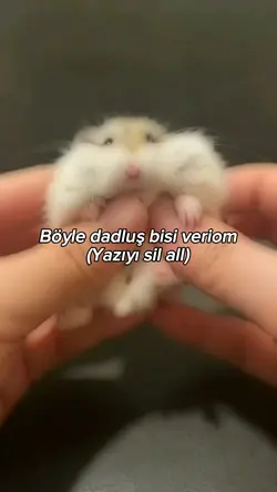 Çok dadluu