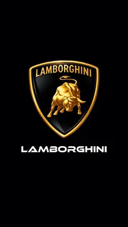 OPENING YOUR LOGO