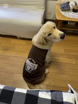 カウントダウン
