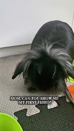 Viral template 