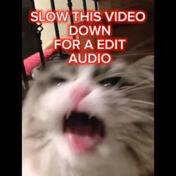 UwU