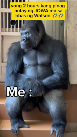 haha Funny to