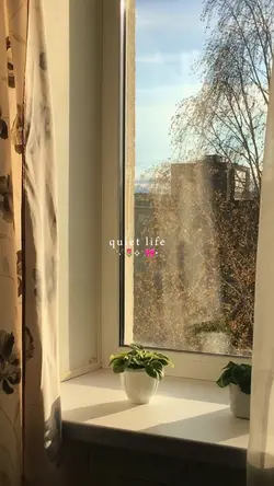 quiet life