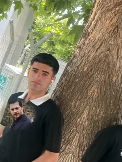Eşref tek şablon 