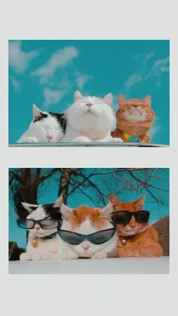 Filter Aesthetic