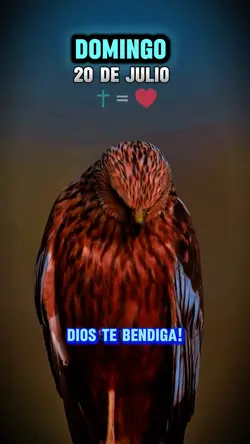 DOMINGO 20 DE JULIO 