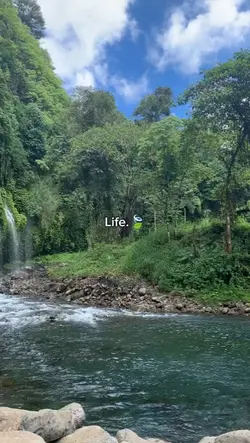 Life