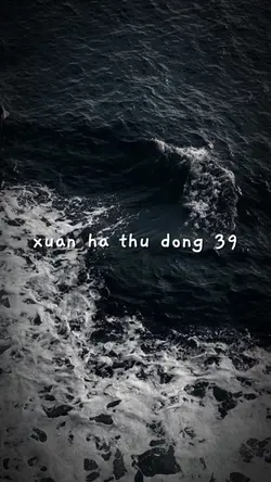 XUÂN HẠ THU ĐÔNG 39