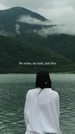 no noise,just this