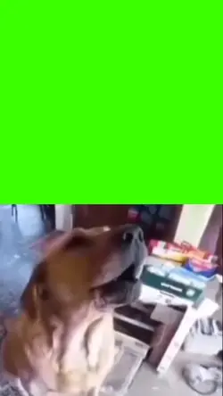 dog singing meme