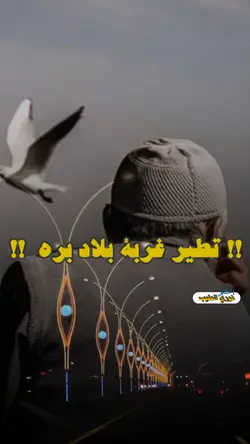 تطير غربه بلاد برا 