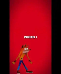 Woah fox your photo