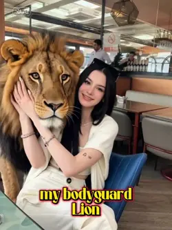 bodyguard lion 