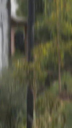CINEMATIC JJ