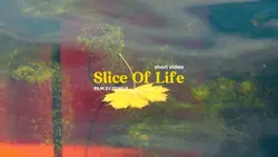 Call of Silence