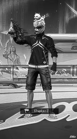 BW VER