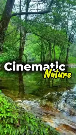 cinematic nature 