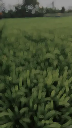 Slowmo Pota Pota