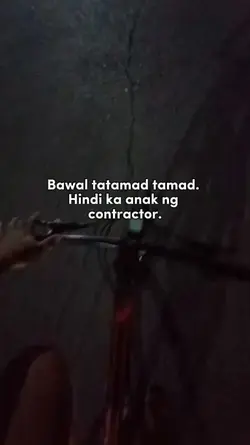 Bawal tamarin 