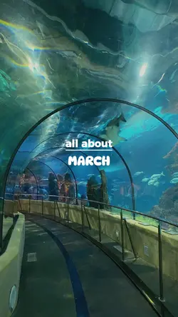 All about March