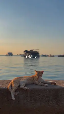 friday.
