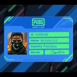 Pubg Player card