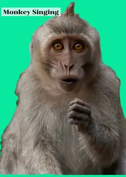 Monkey GreenScreen
