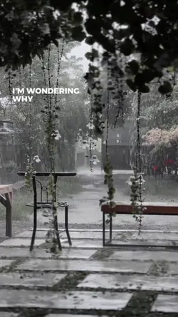 rain aeatetics