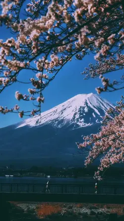 Golden Week Japan v2